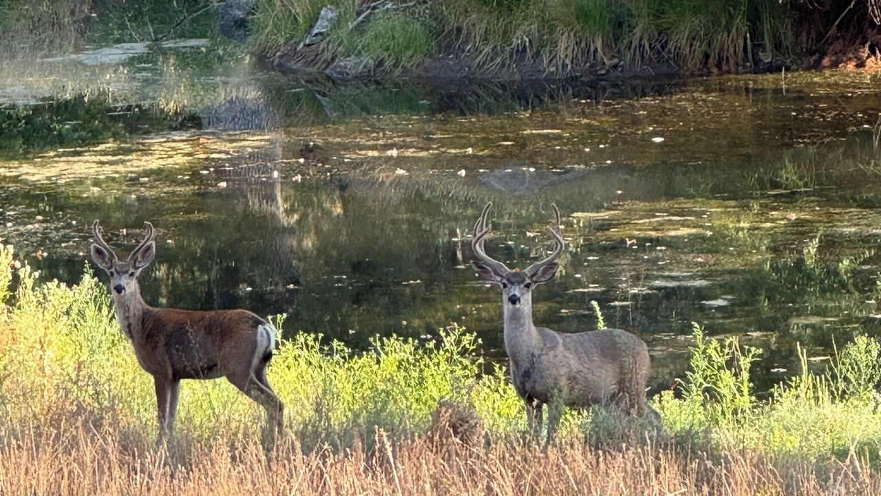 Photo of Others in North Fork