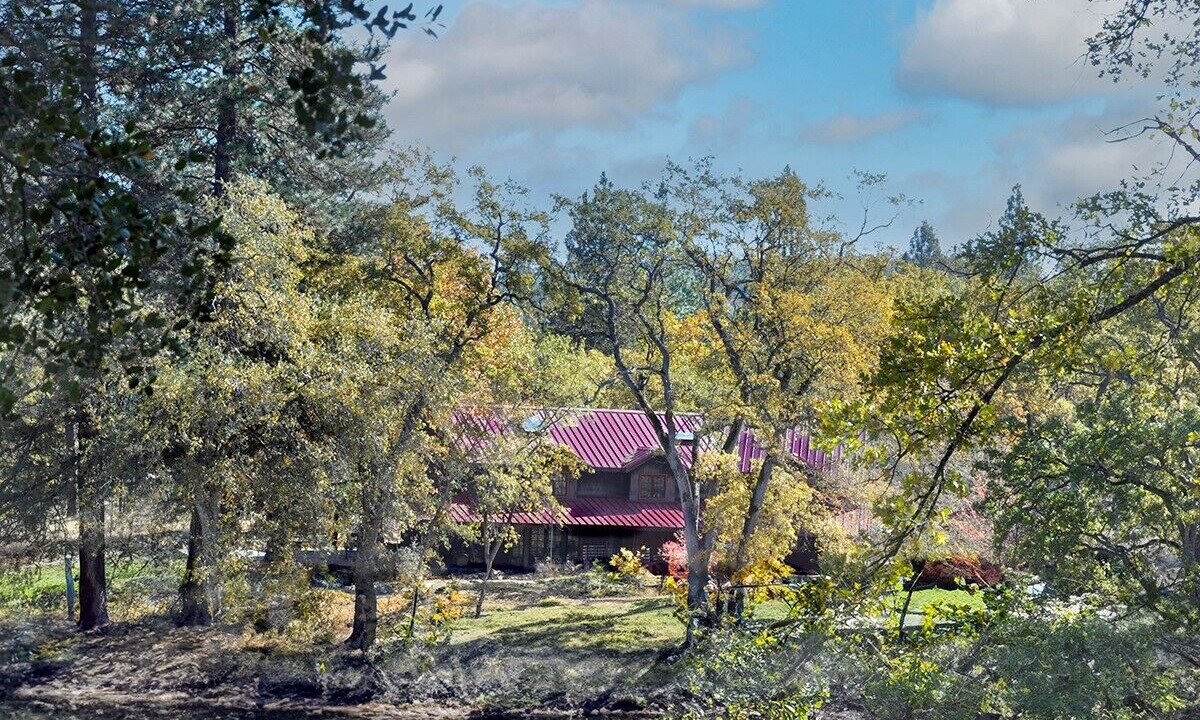 Photo of Others in North Fork