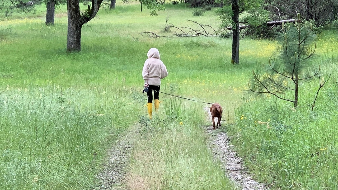 Photo of Others in North Fork