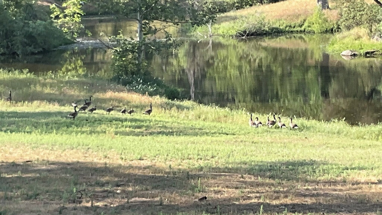 Photo of Others in North Fork