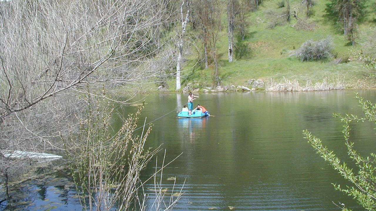 Photo of Outdoor in North Fork