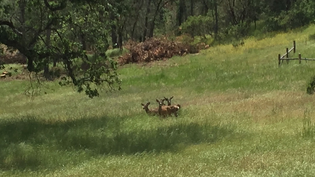 Photo of Others in North Fork
