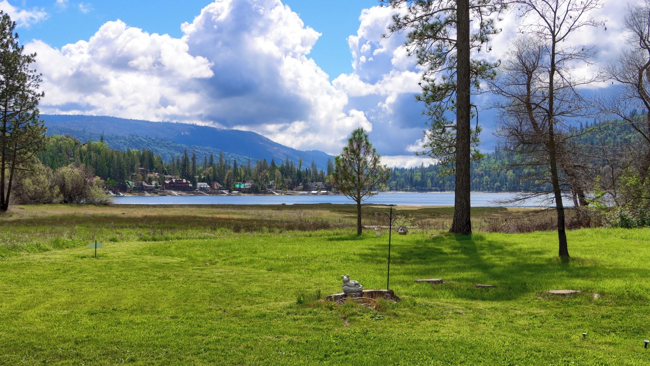 Photo of Others in Bass Lake