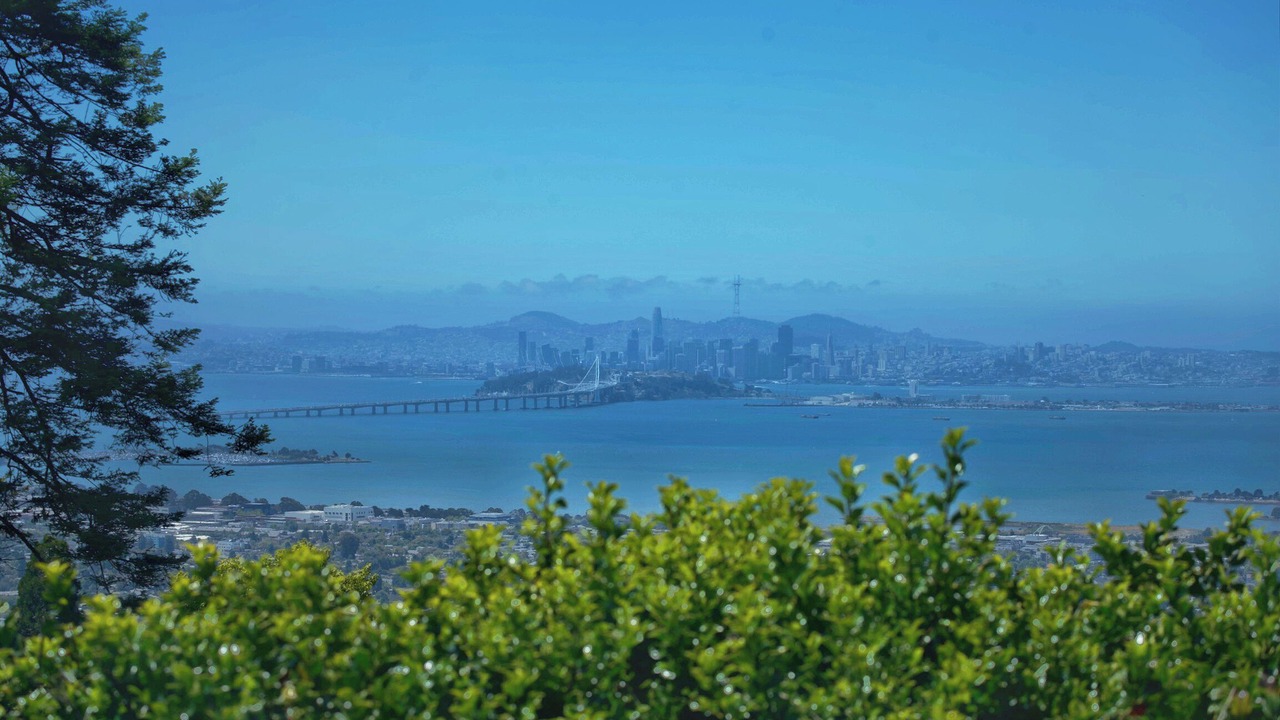 Photo of Others in Berkeley Hills