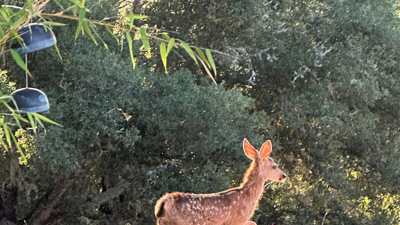 Photo of Others in Atascadero