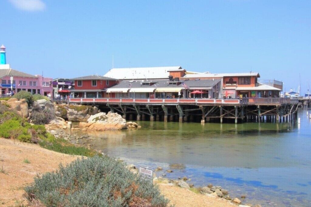 Photo of Others in Marina