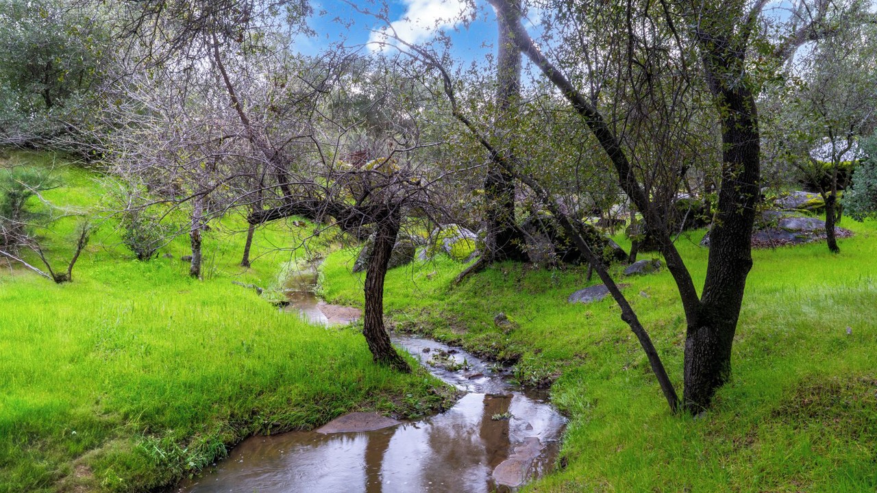 Photo of Others in Mariposa