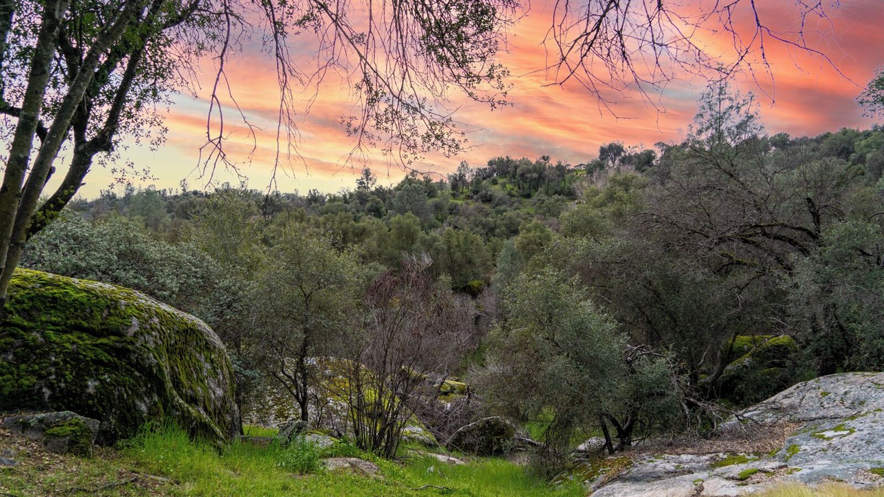 Photo of Others in Mariposa