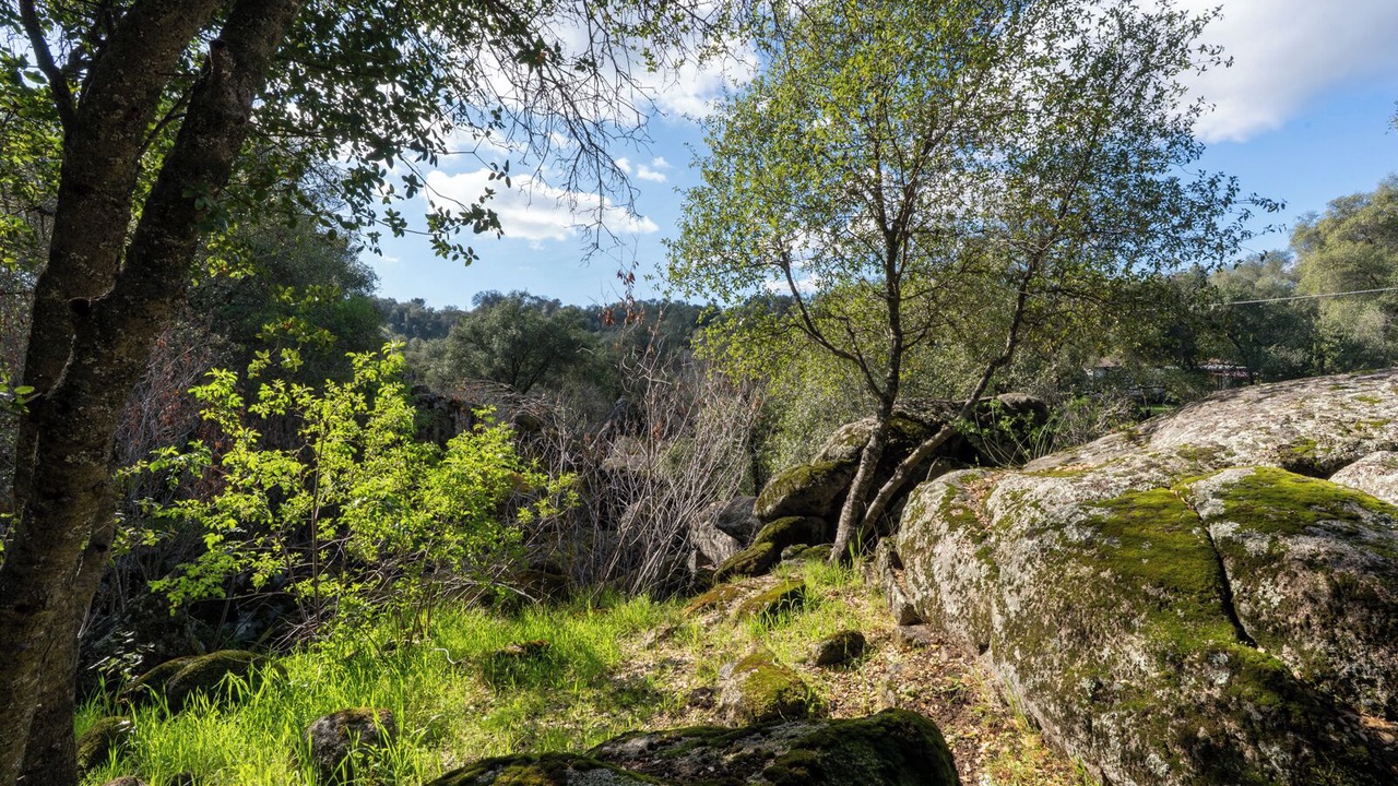 Photo of Others in Mariposa
