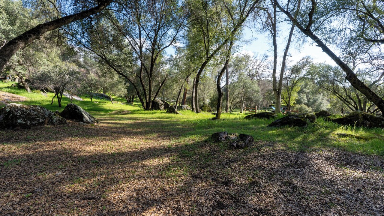 Photo of Others in Mariposa