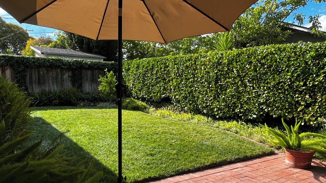 Photo of Outdoor in Willow Glen