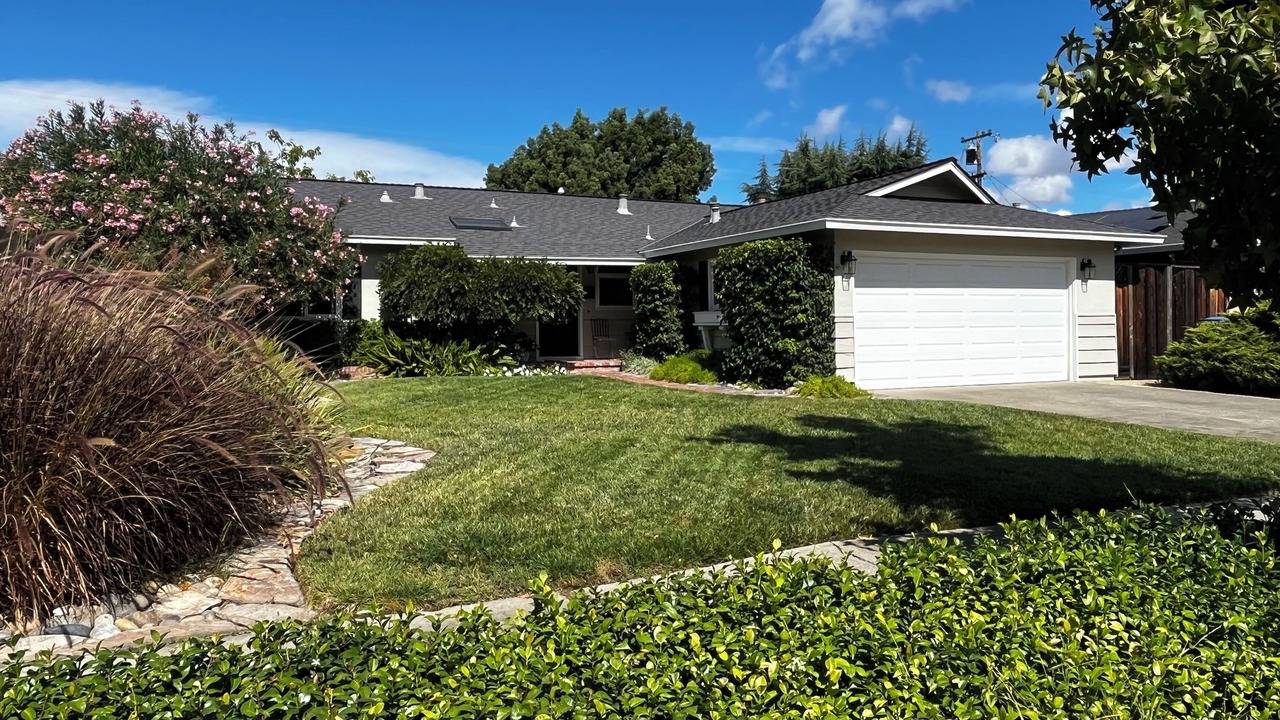 Photo of Outdoor in Willow Glen