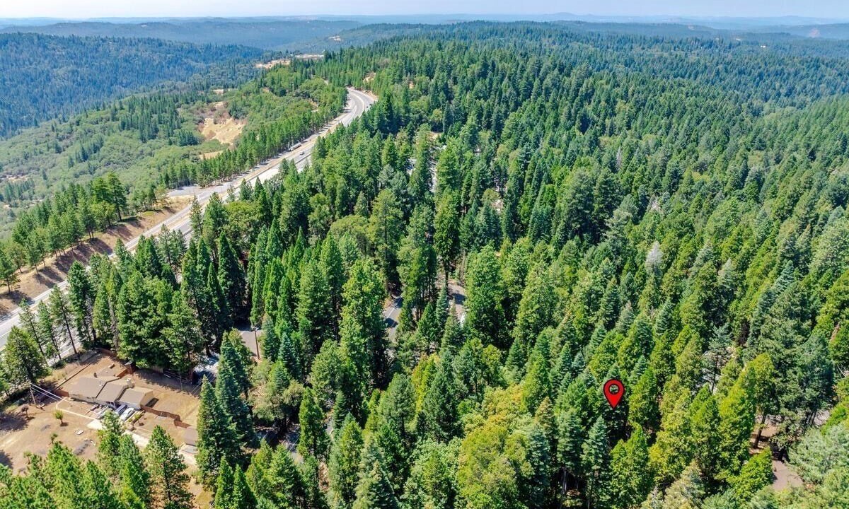 Photo of Outdoor in Apple Hill
