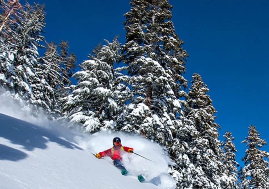Photo of Others in Tahoe Village
