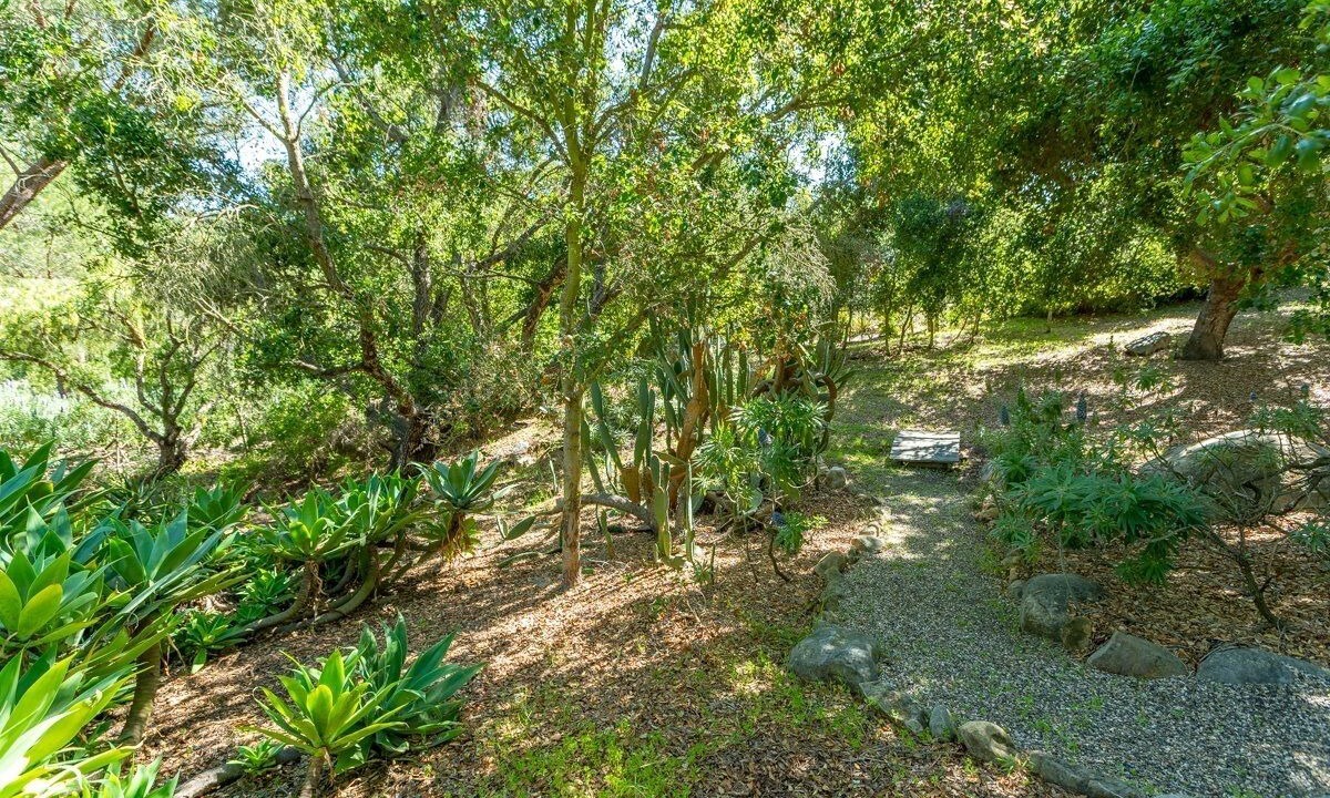 Photo of Outdoor in Cielito