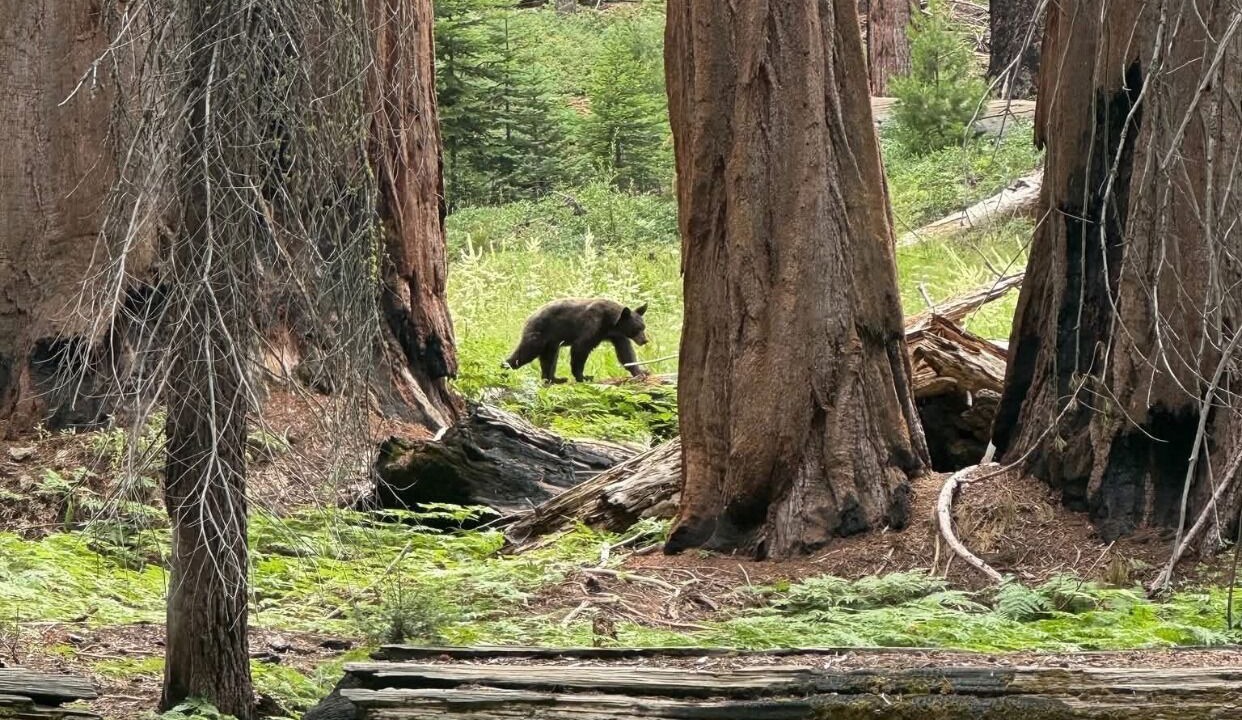 Photo of Others in Woodlake