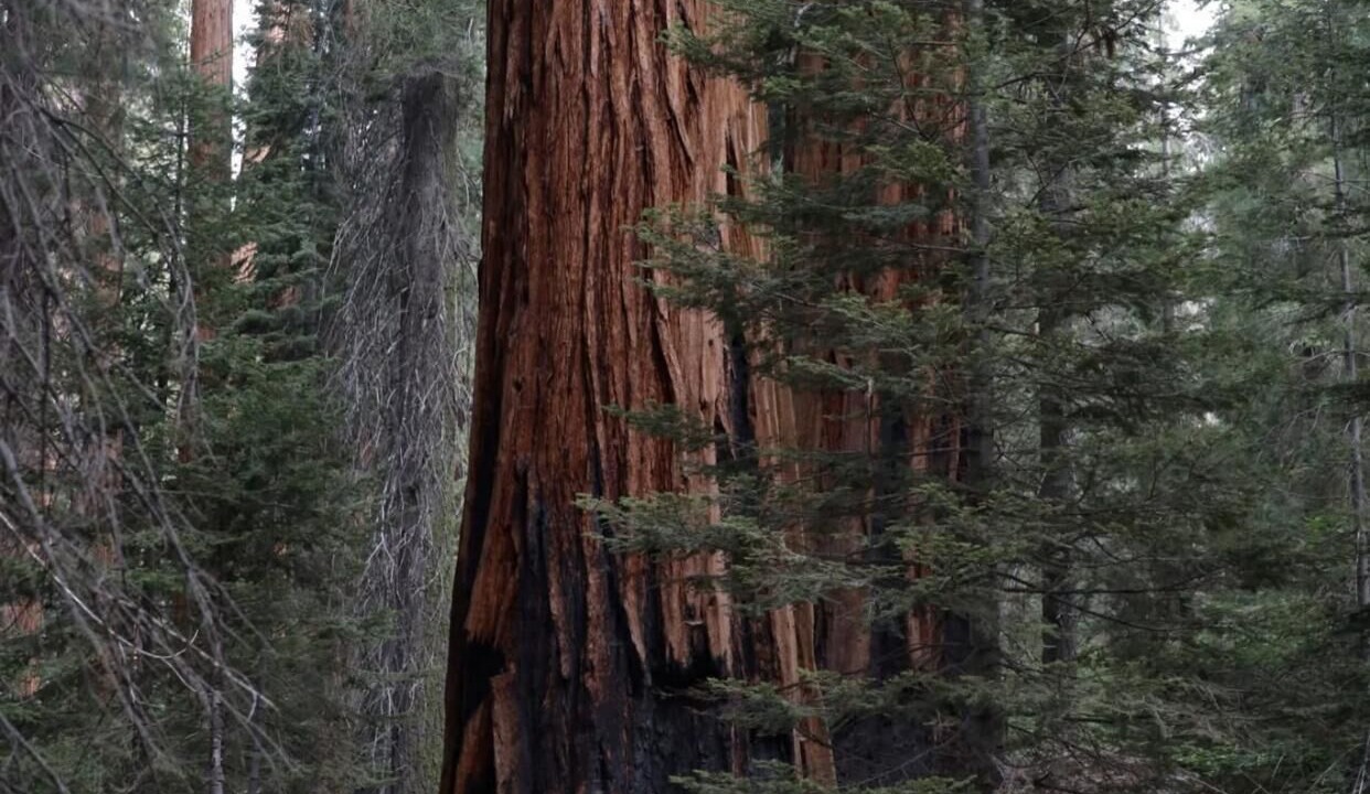 Photo of Others in Woodlake