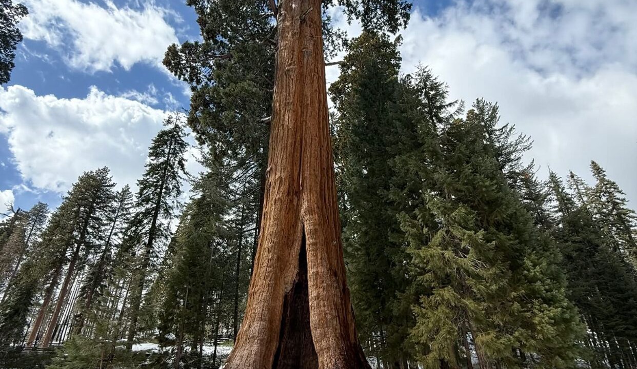 Photo of Others in Woodlake