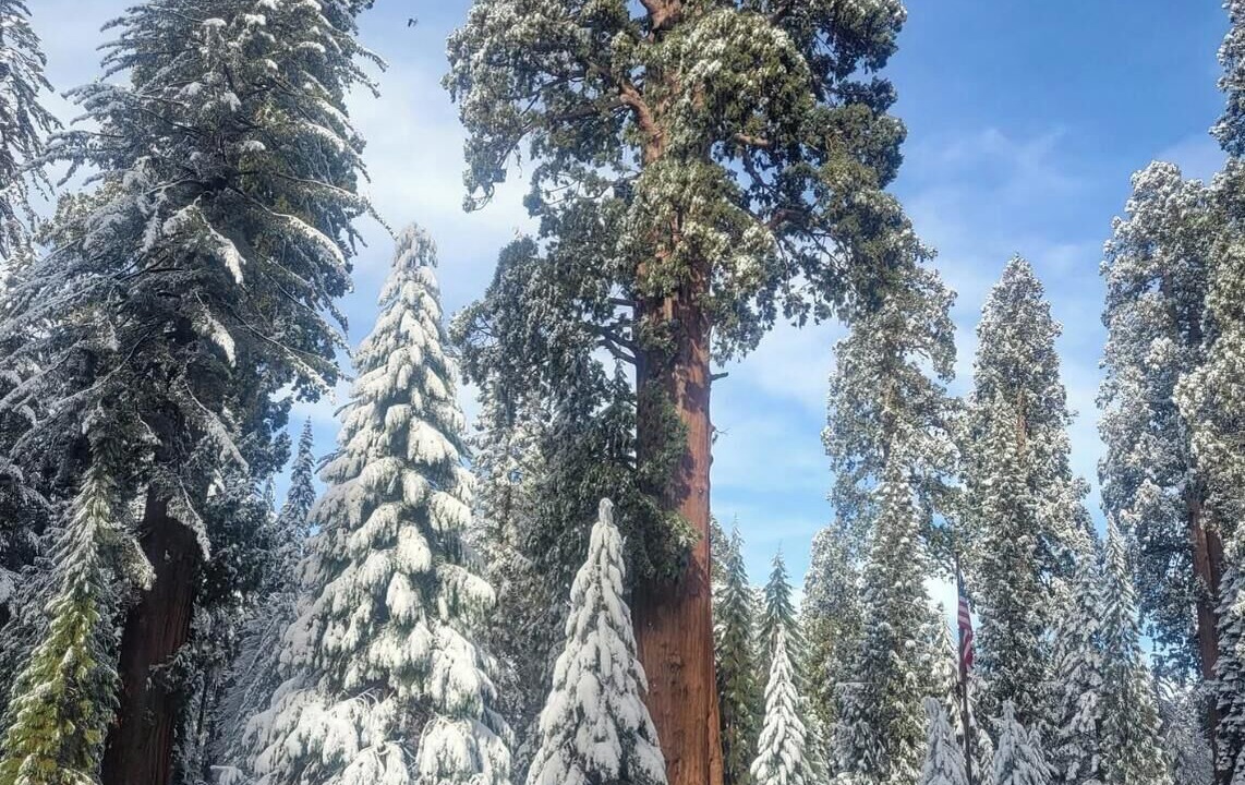Photo of Others in Woodlake