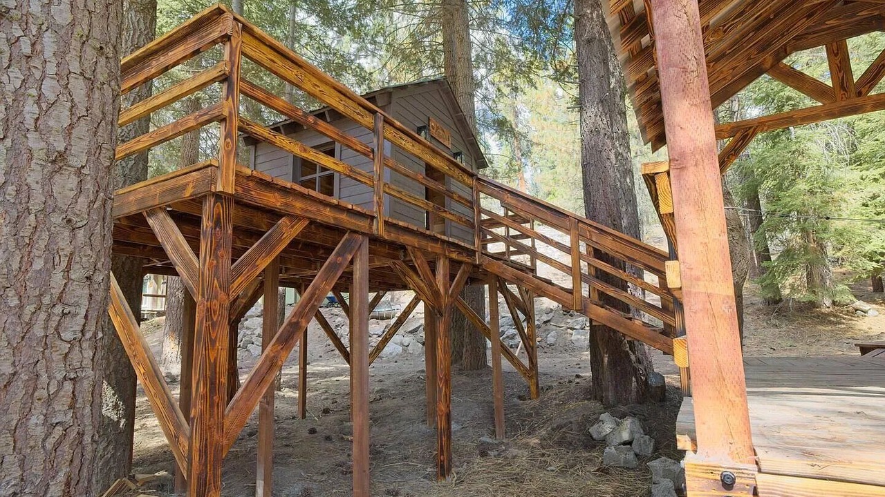 Photo of Others in Ponderosa