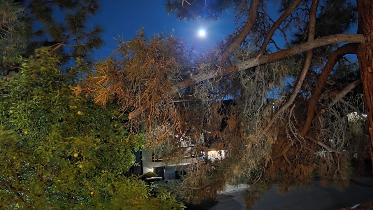 Photo of Others in Wrightwood