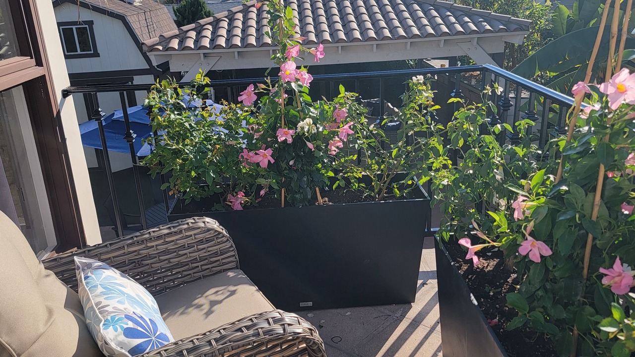 Photo of Patio Balcony in Capistrano Beach