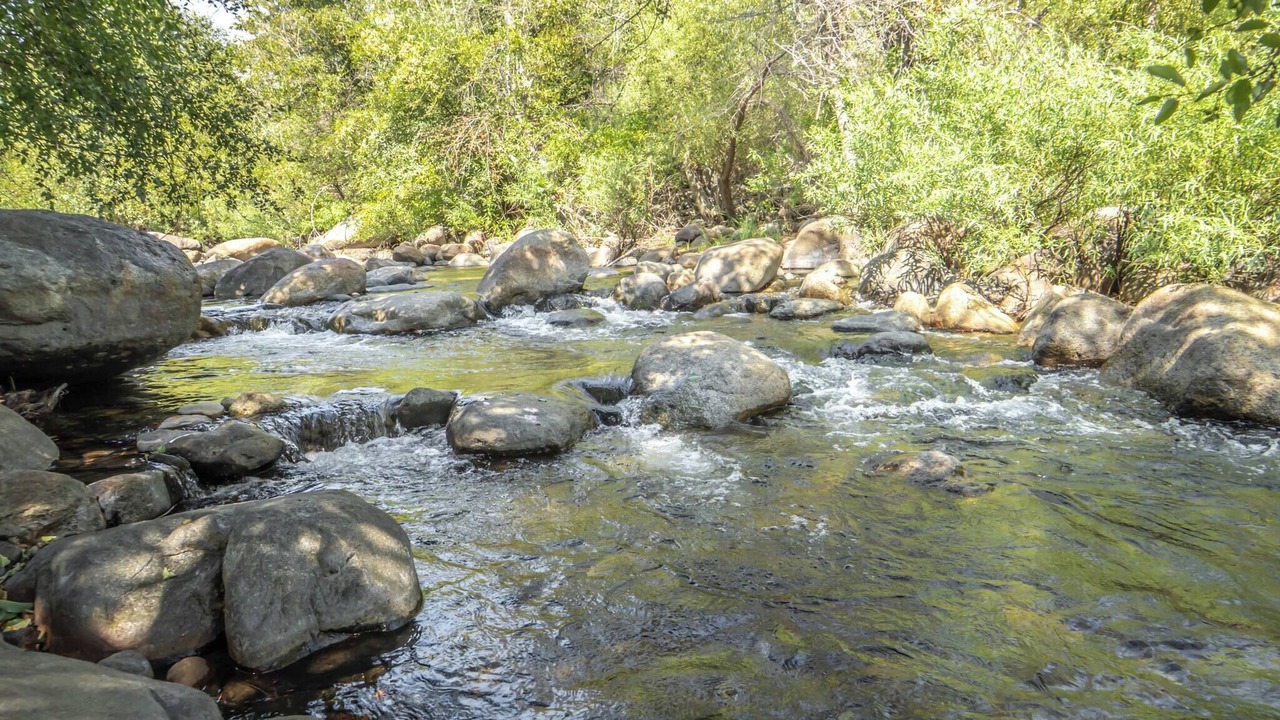 Photo of Others in Three Rivers