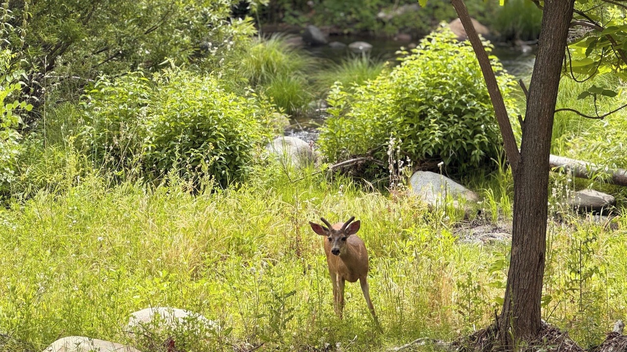 Photo of Others in Three Rivers