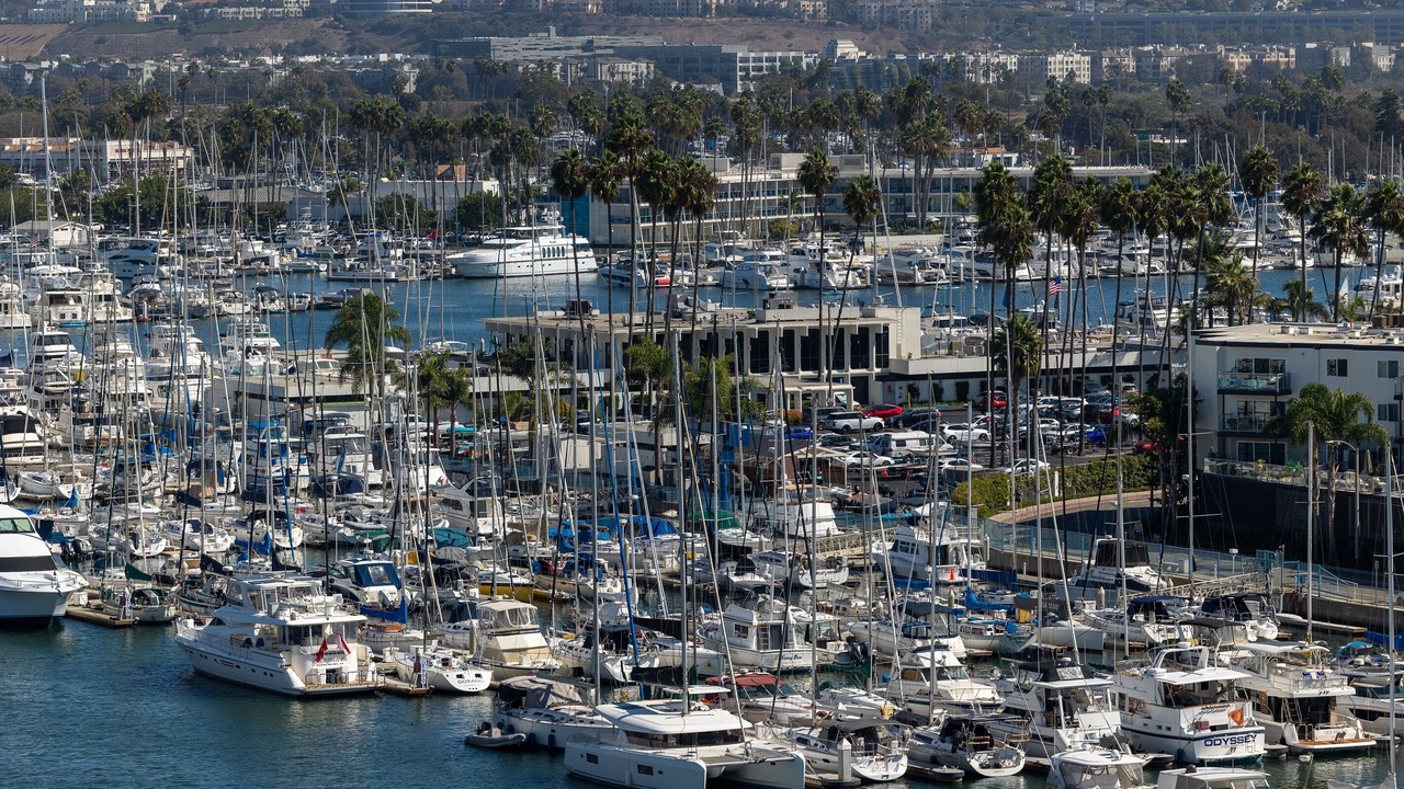 Photo of Others in Marina del Rey