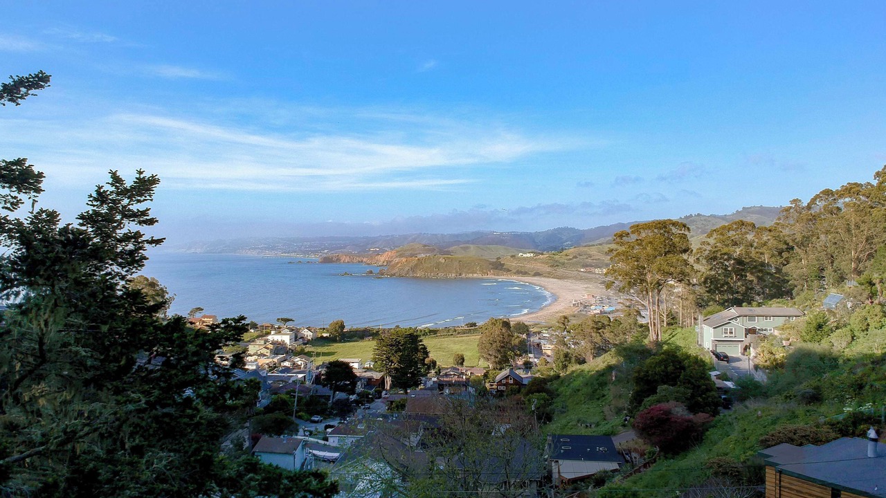 Photo of Others in Pedro Point
