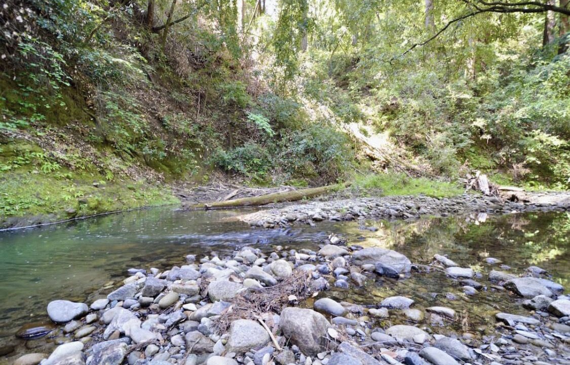 Photo of Others in Soquel