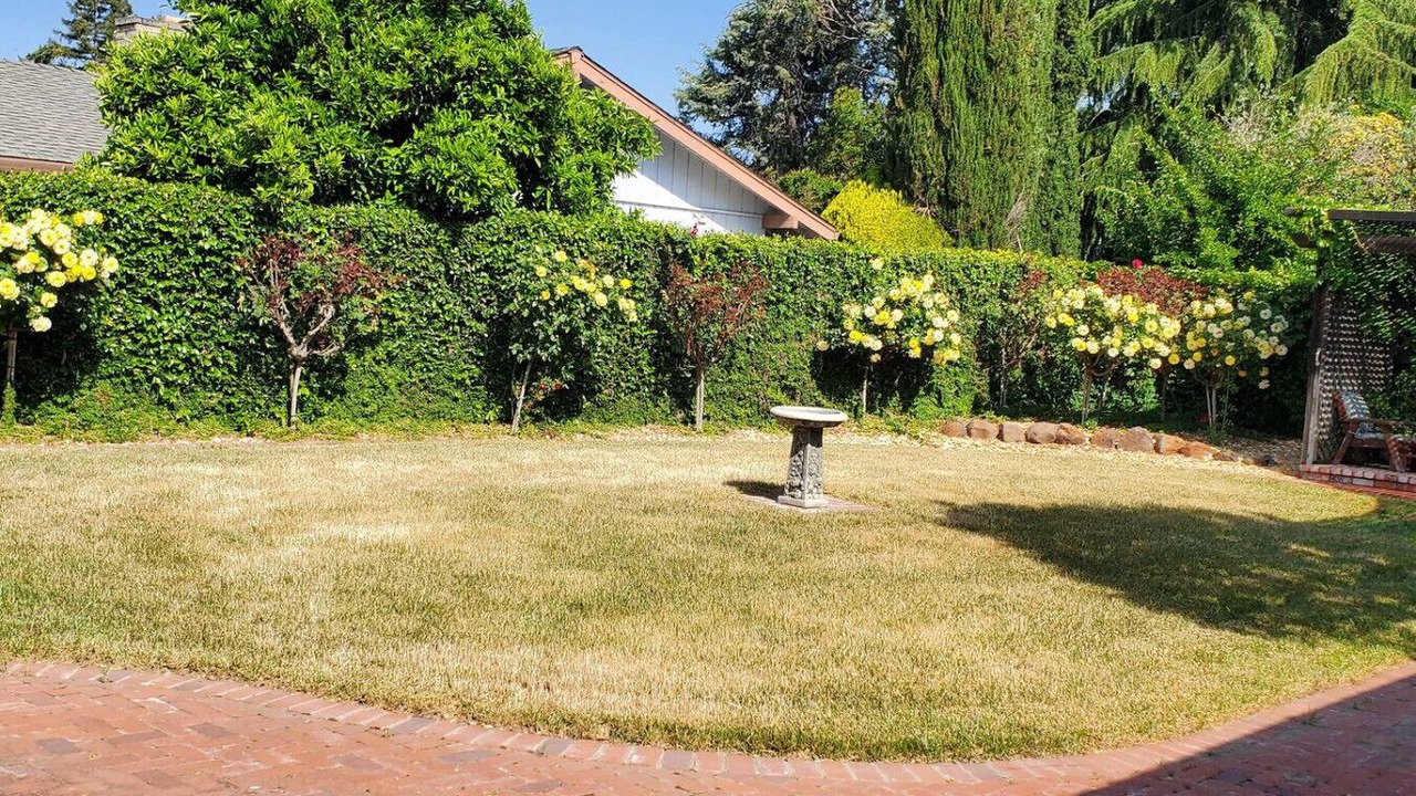 Photo of Outdoor in Davis