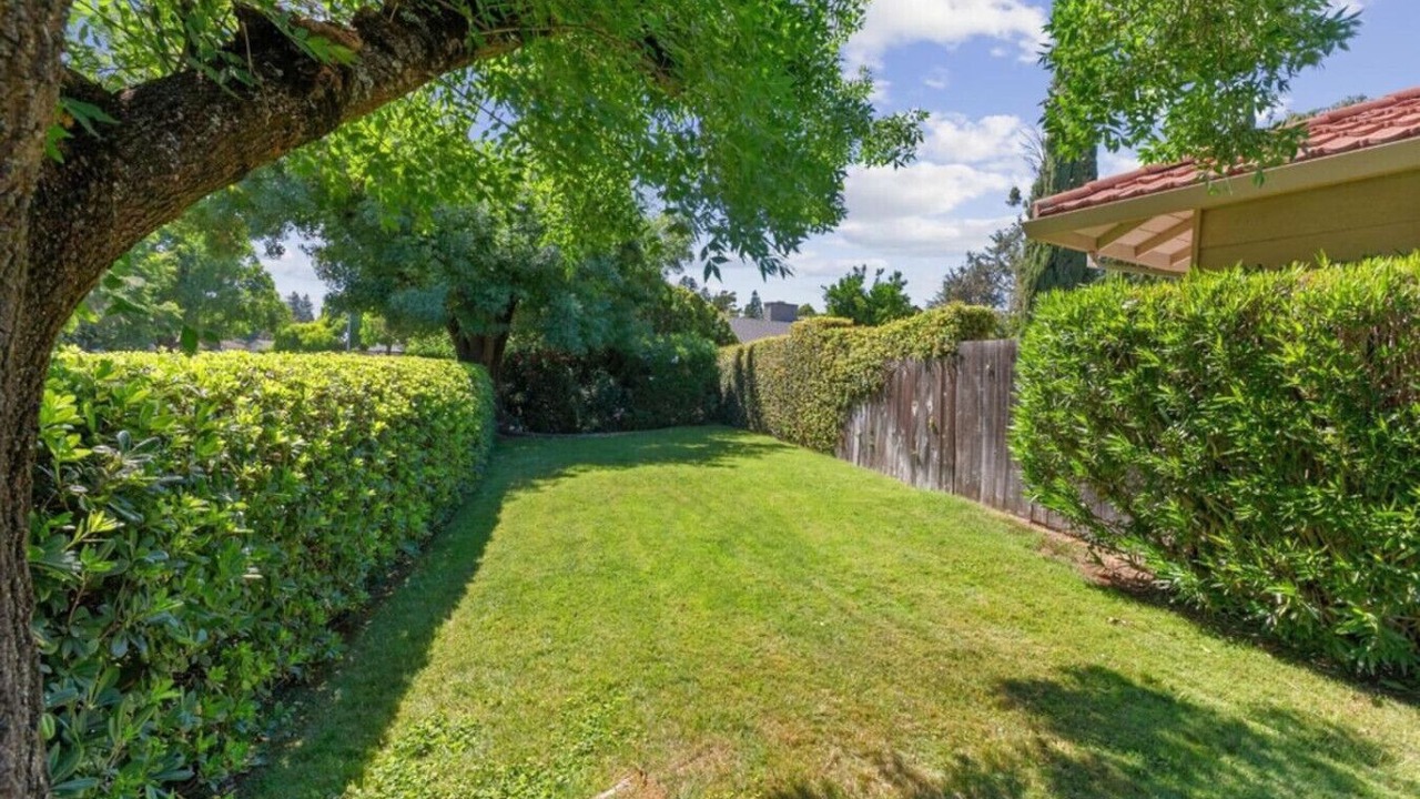 Photo of Outdoor in Davis