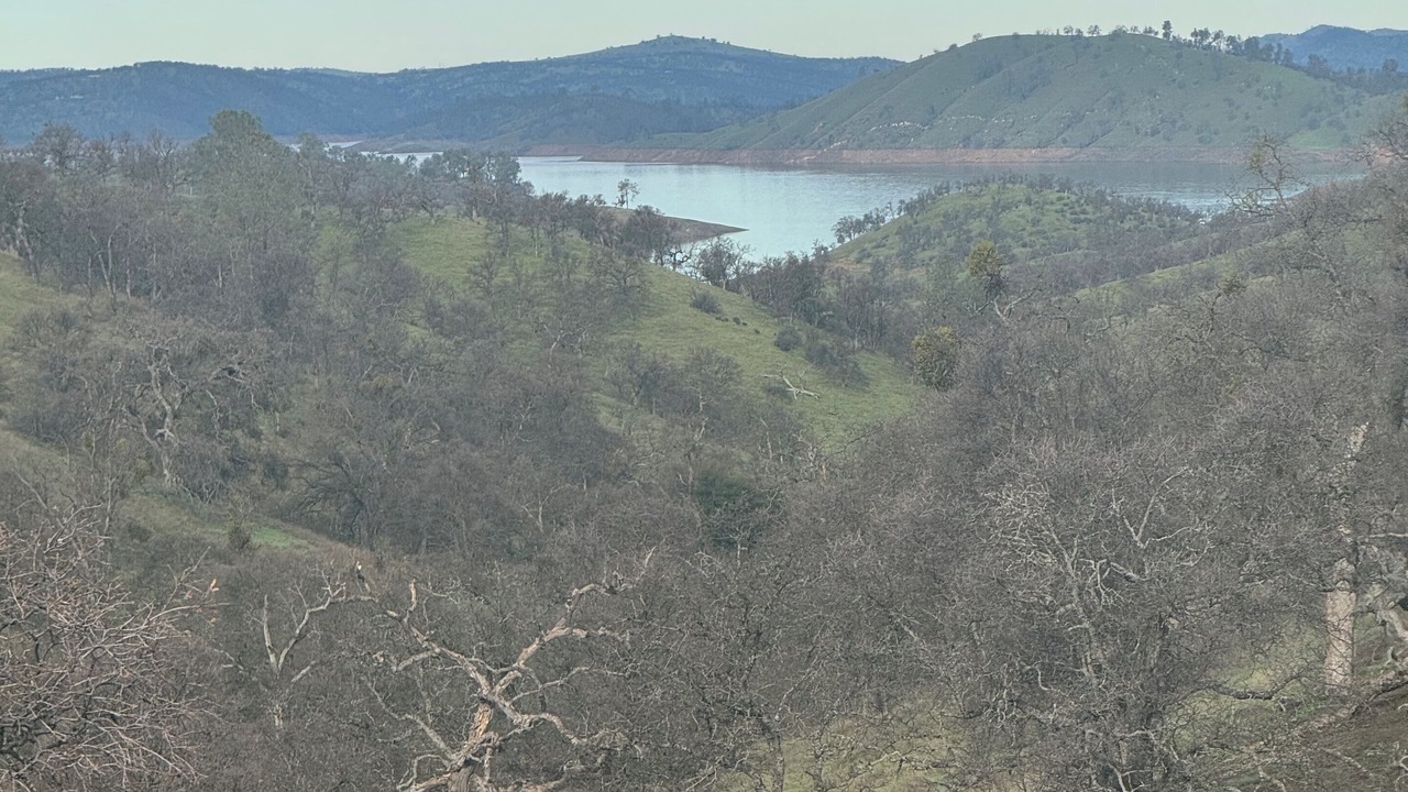 Photo of Others in Hayward
