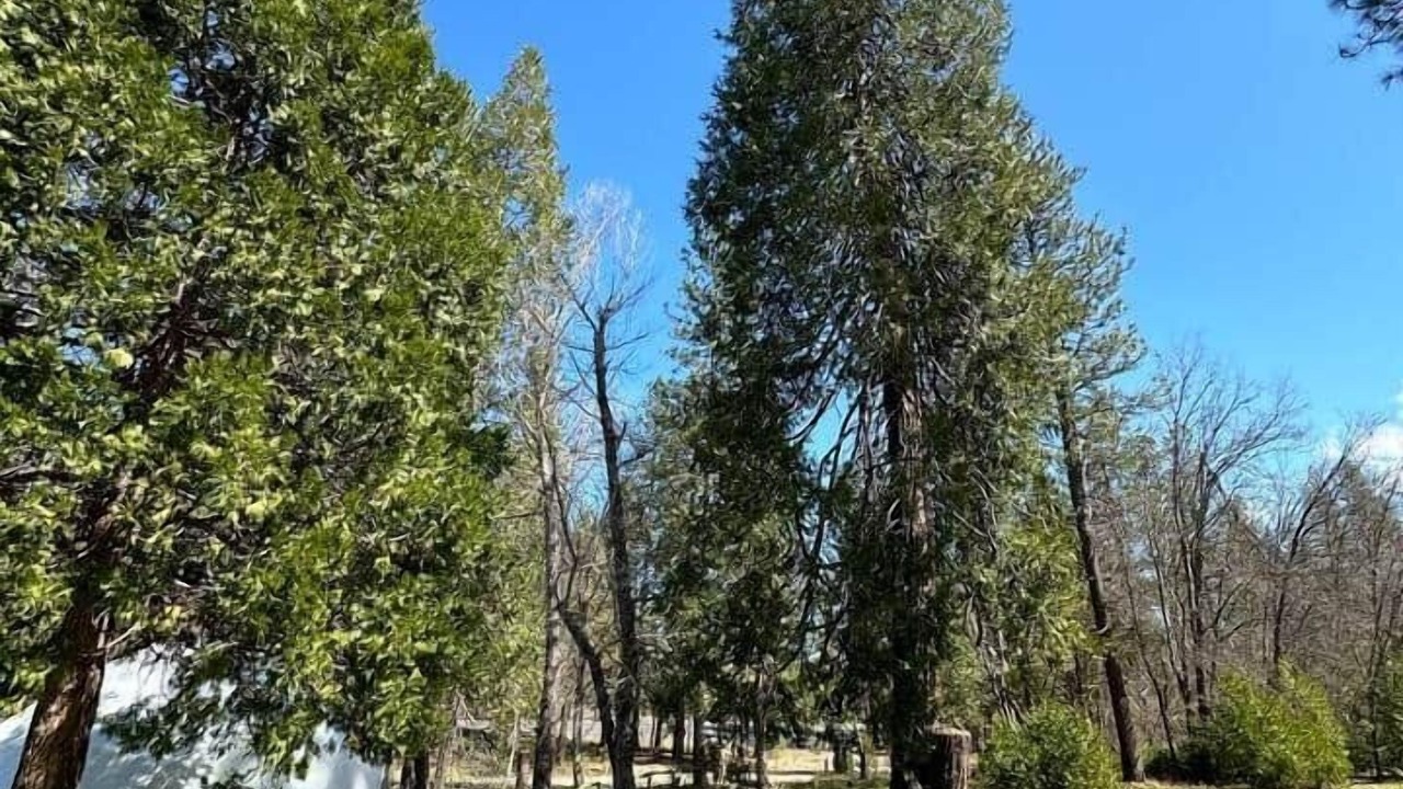 Photo of Others in Groveland