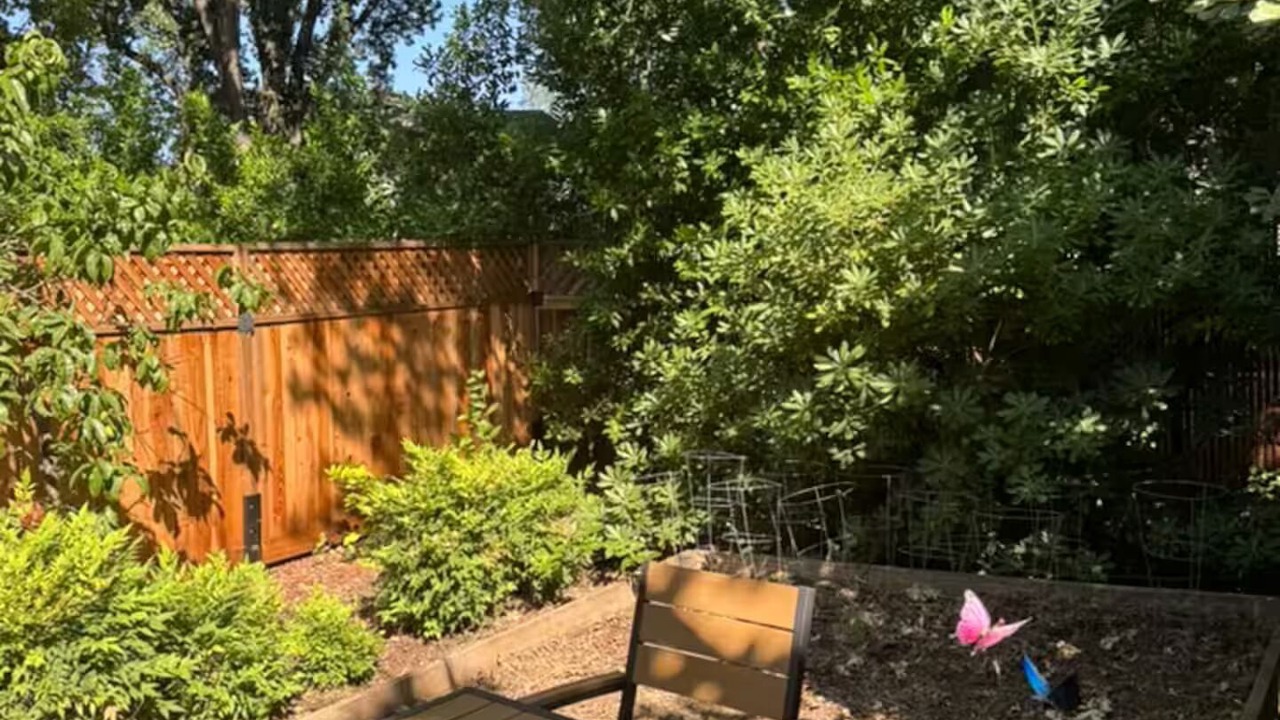 Photo of Outdoor in Chico