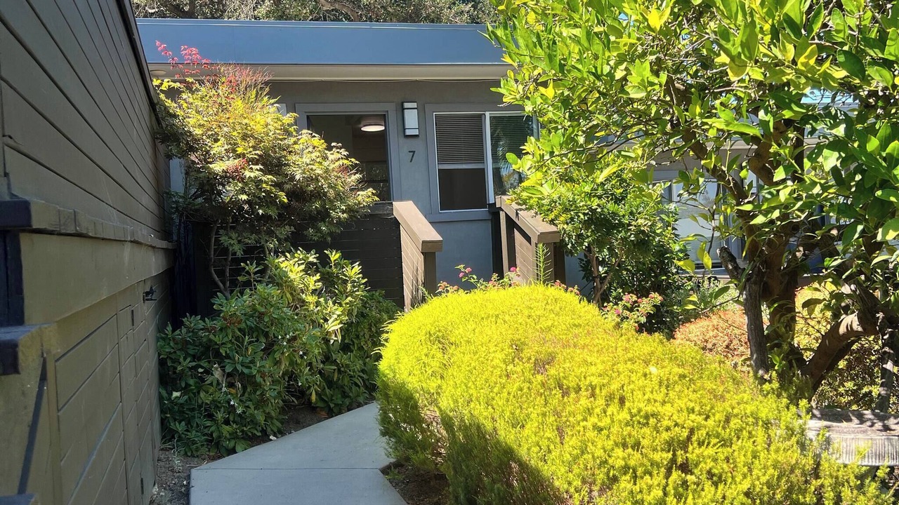 Photo of Outdoor in Belmont