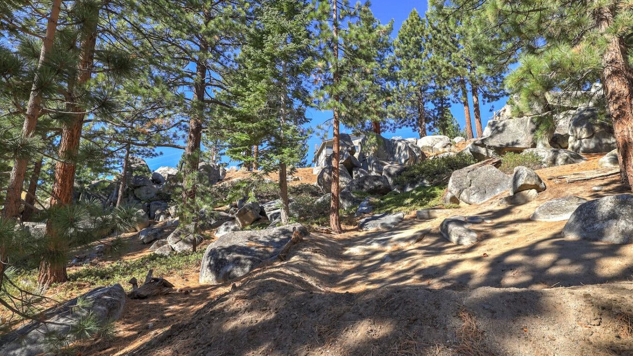 Photo of Others in Tahoe Village