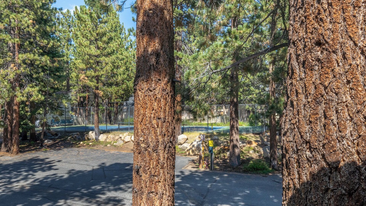 Photo of Others in Mammoth Lakes