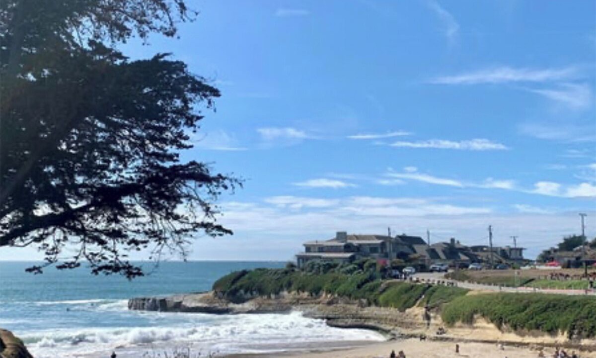 Photo of Others in Eastside Santa Cruz