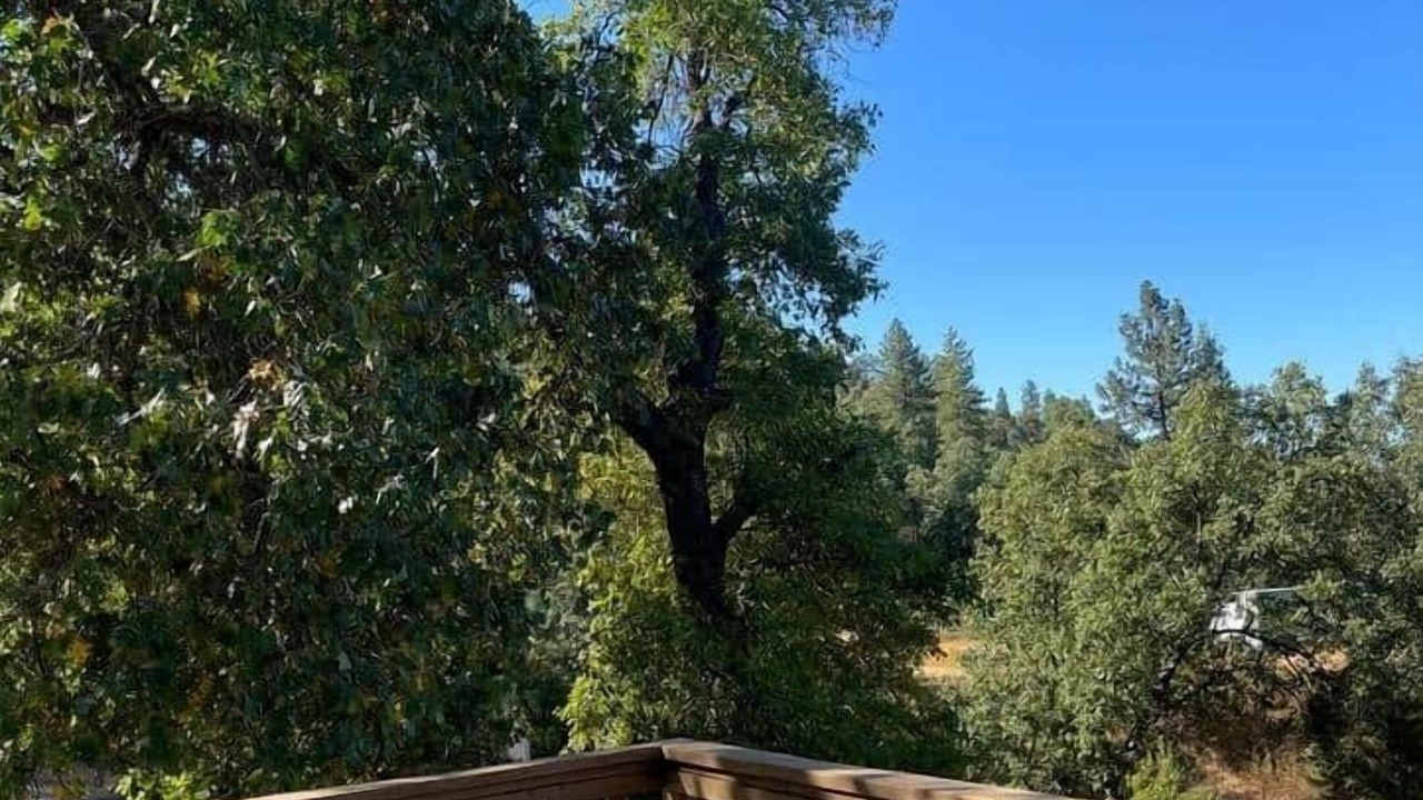 Photo of Outdoor in Badger