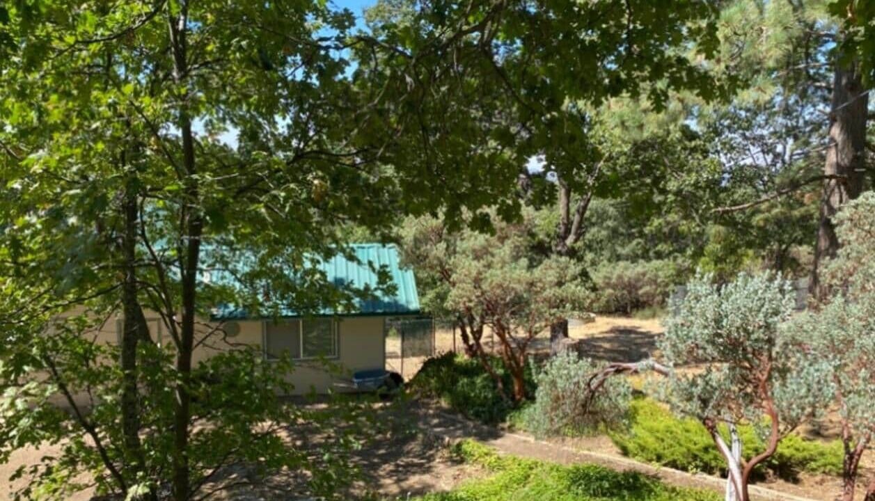 Photo of Outdoor in Badger