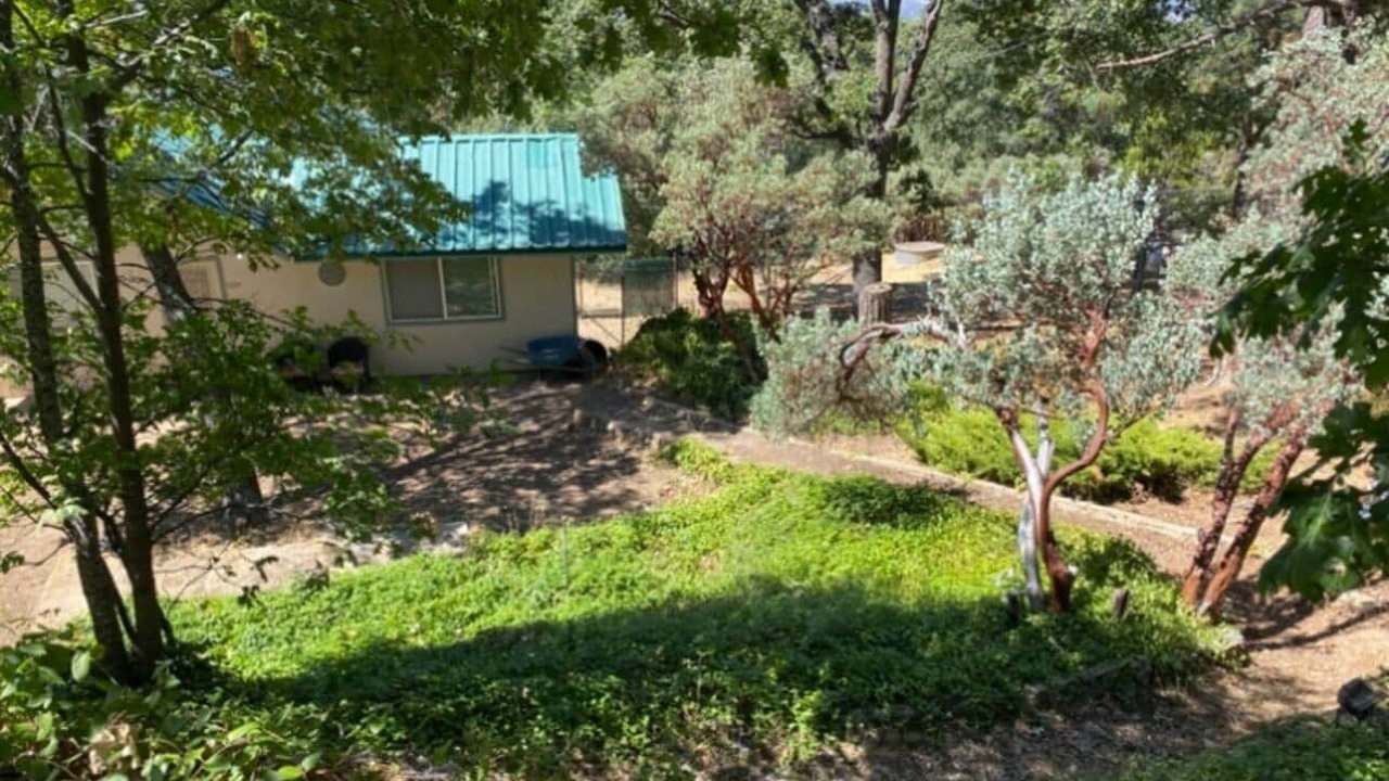 Photo of Outdoor in Badger