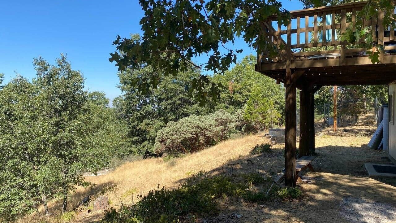 Photo of Outdoor in Badger