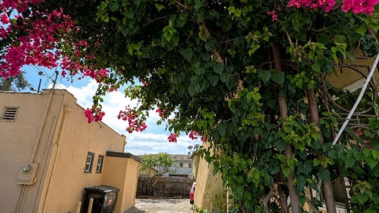 Photo of Outdoor in East San Gabriel