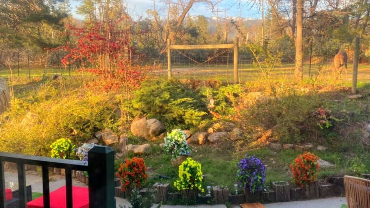 Photo of Outdoor in Oakhurst