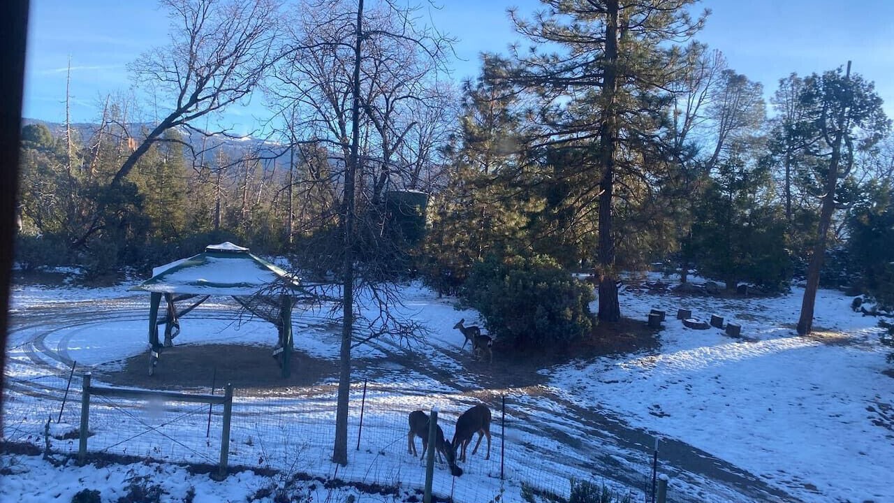 Photo of Outdoor in Oakhurst