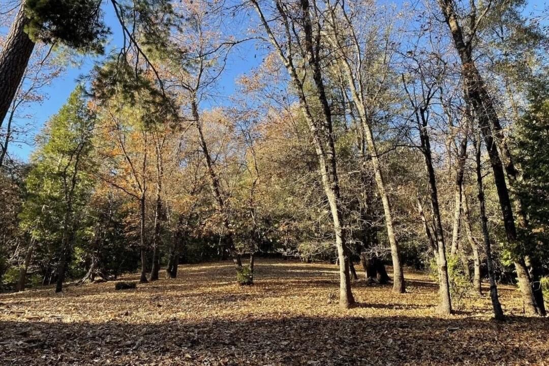 Photo of Others in Phoenix Lake-Cedar Ridge