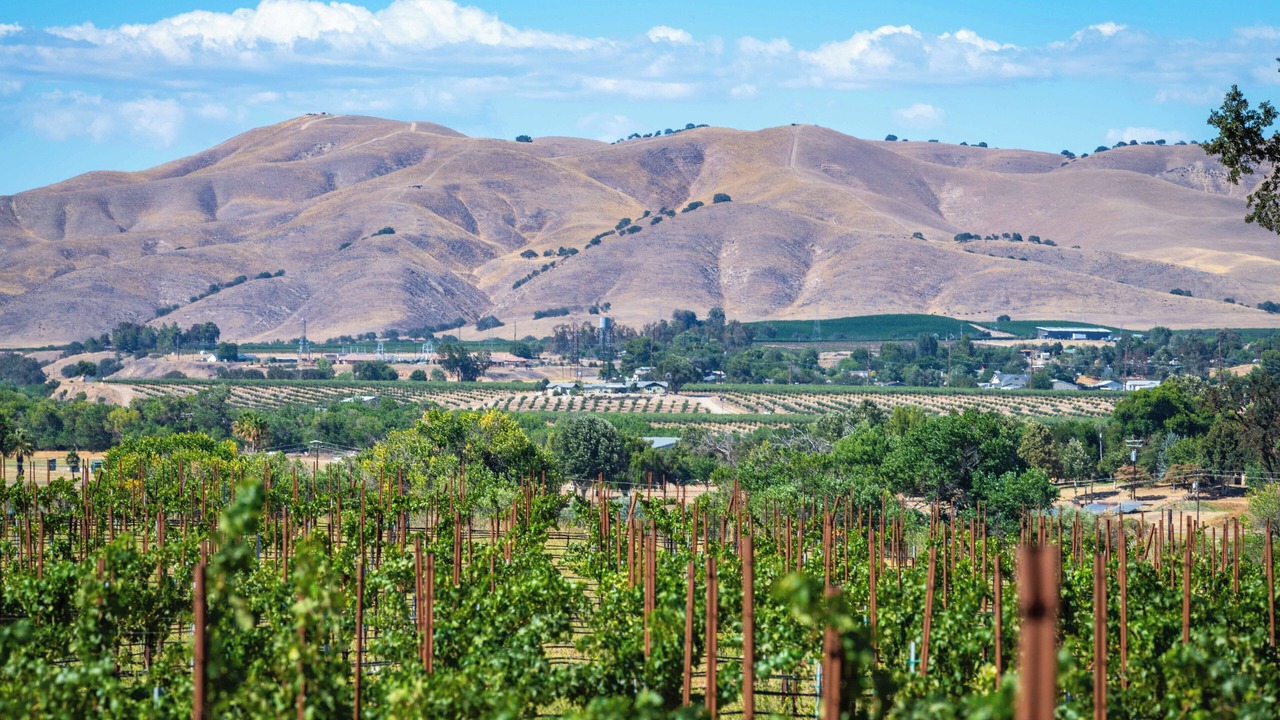 Photo of Others in Paso Robles