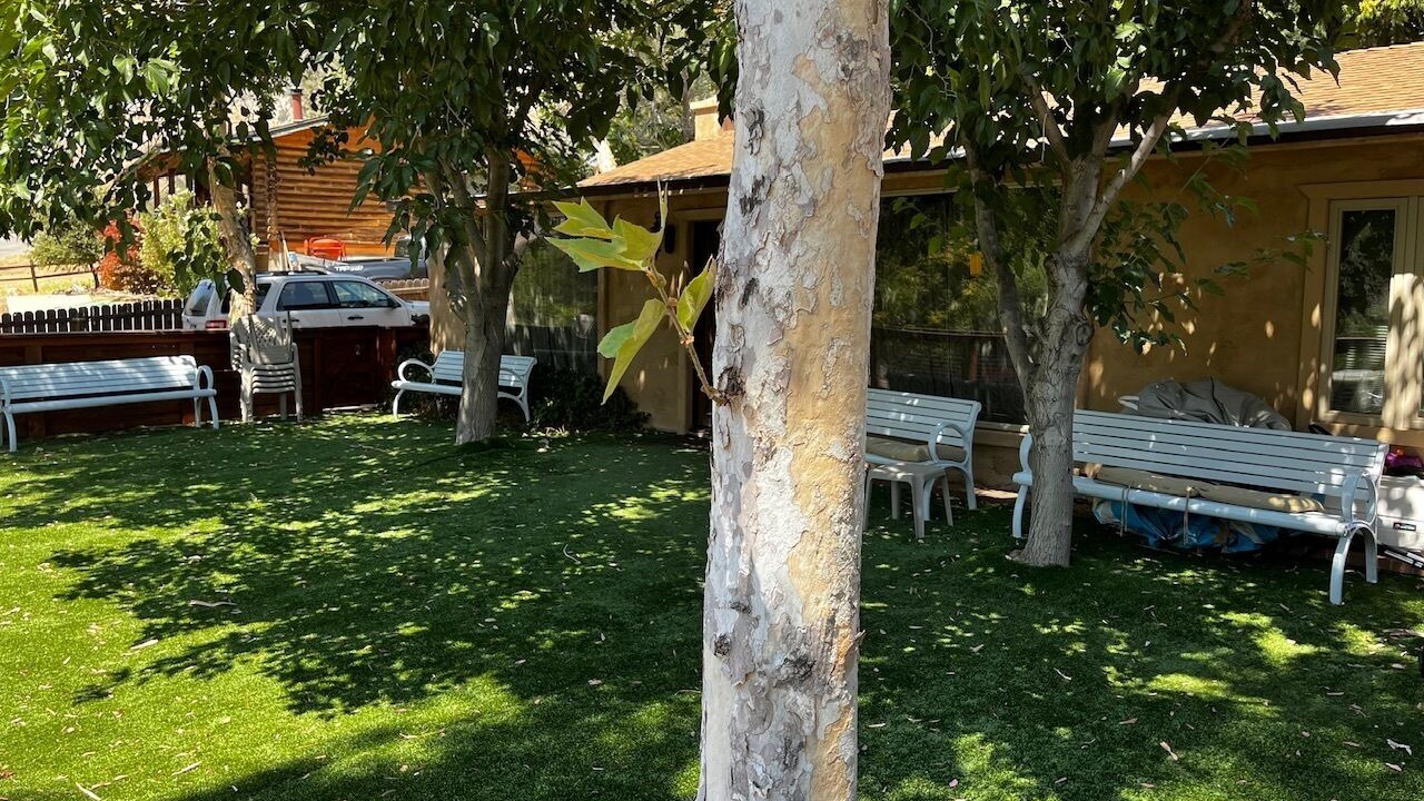 Photo of Others in Kernville